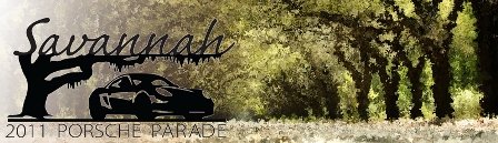 savannah_banner_websmall