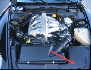 968 Reg newsletter 2015 - November